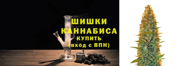 прущие крисы Бородино
