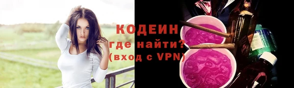 индика Бронницы