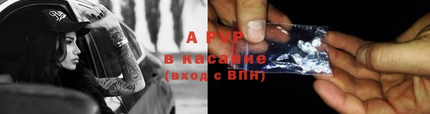 индика Бронницы