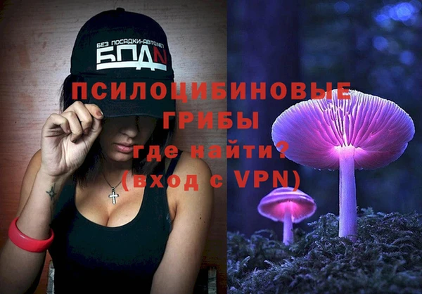 прущие крисы Бородино