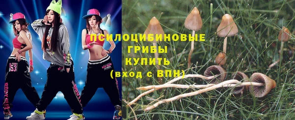 индика Бронницы
