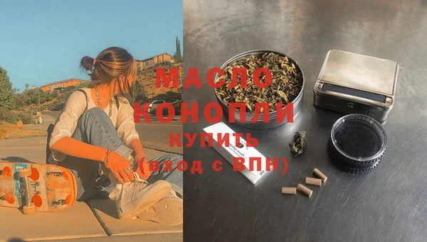 индика Бронницы
