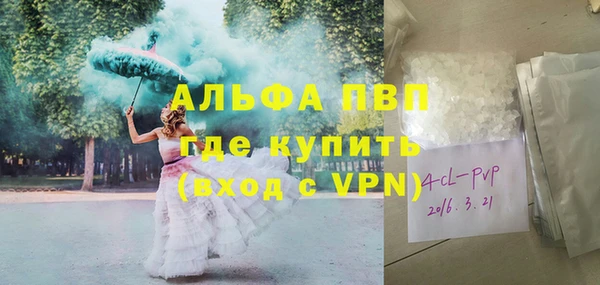 прущие крисы Бородино