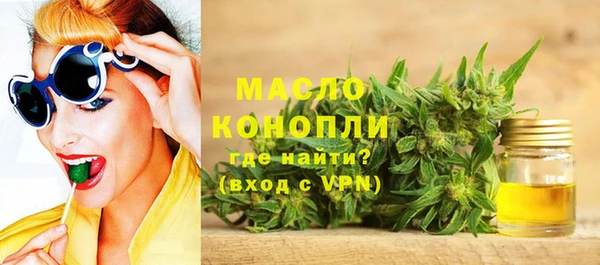 индика Бронницы