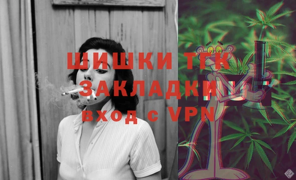 индика Бронницы