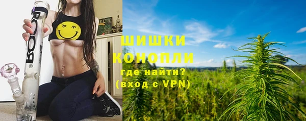 индика Бронницы